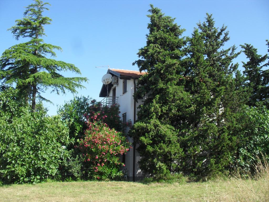 Apartment Lana Privlaka  Bagian luar foto