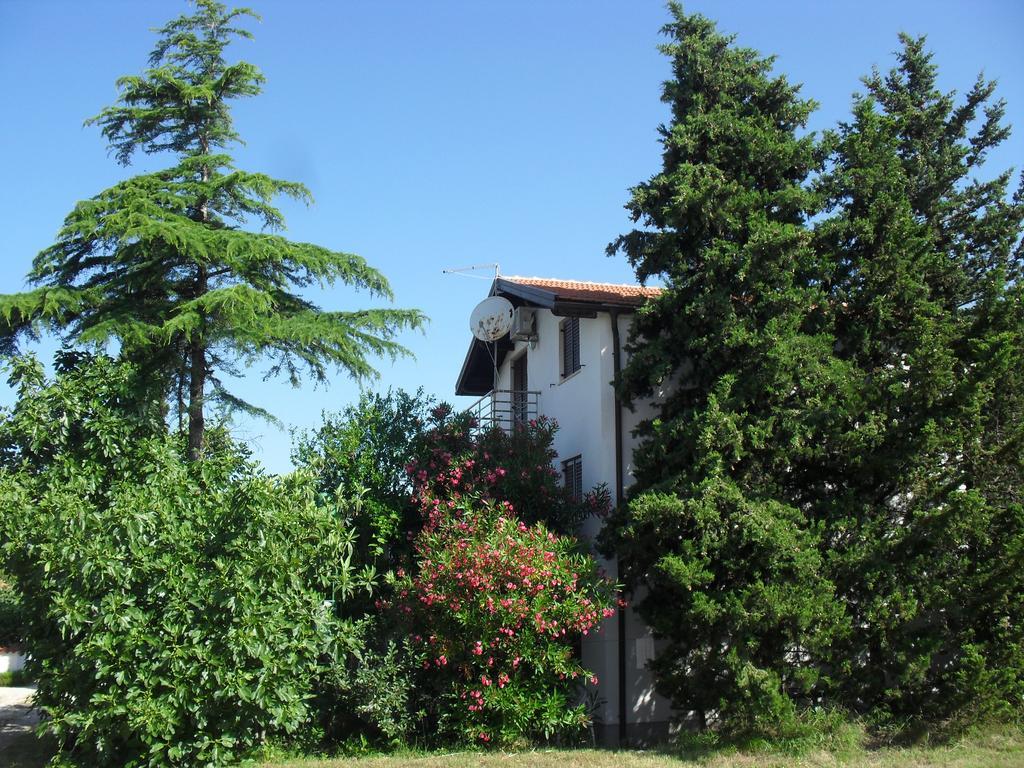 Apartment Lana Privlaka  Bagian luar foto